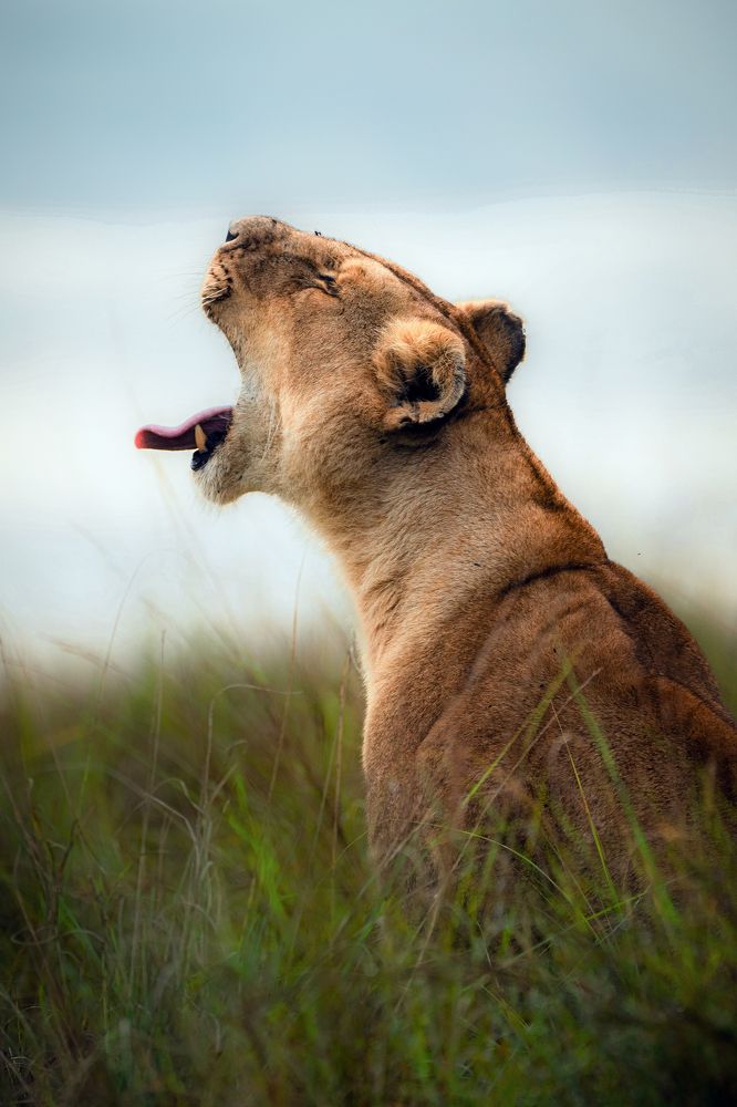 Photograph by Sharad Mansharamani