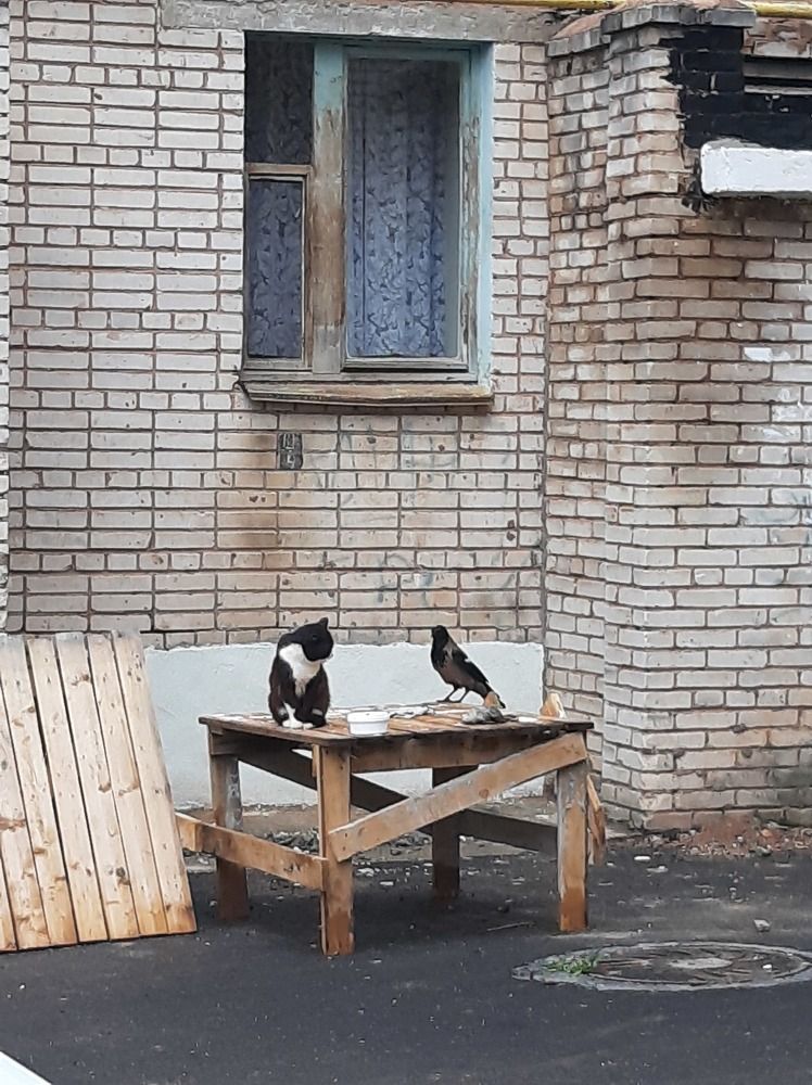 Фотография автора Олег Анатольевич Загорулько