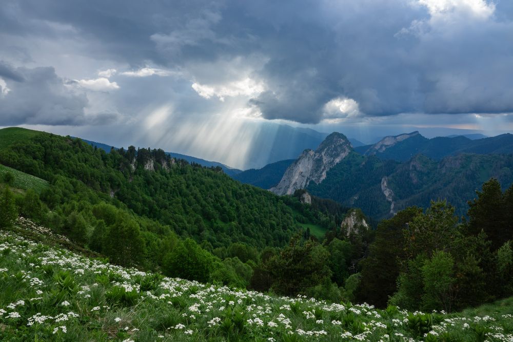 Photograph by Шишкалов Константин