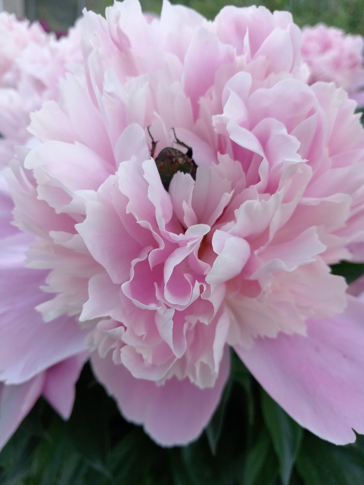 Photograph by Наталья Сырых