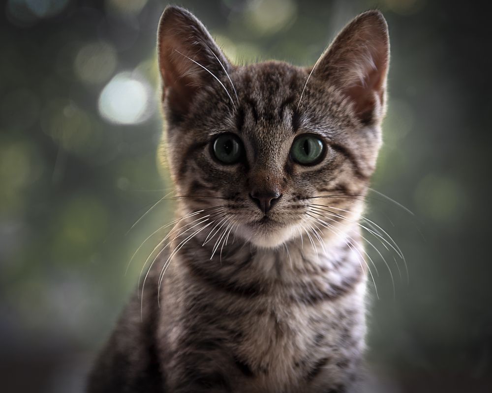 Фотография автора Татьяна Охапкина