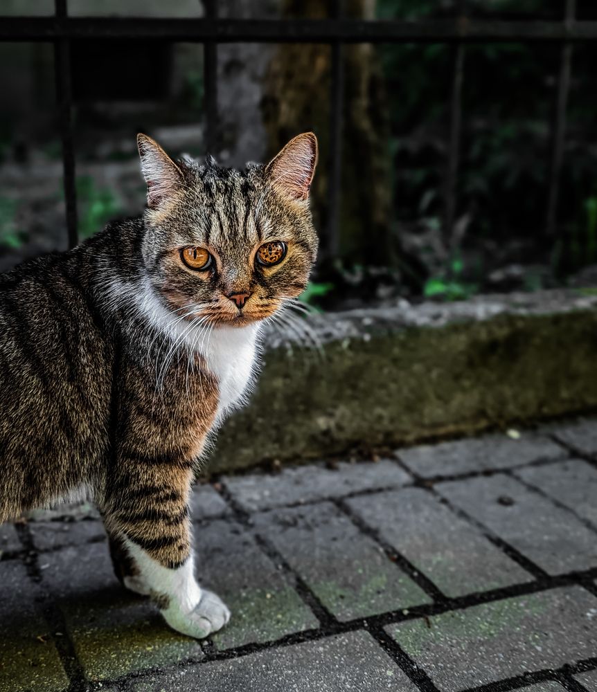 Photograph by Ксения Котова