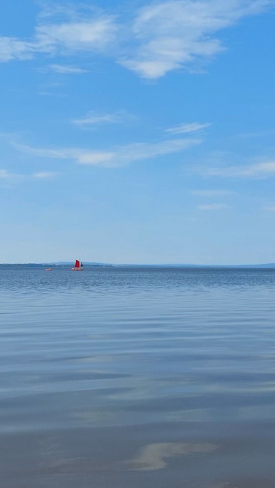 Photograph by Эльвира