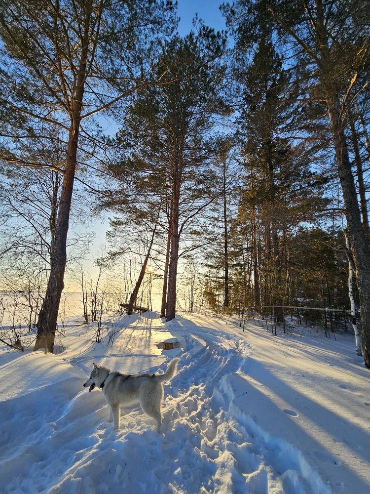 Photograph by Эльвира