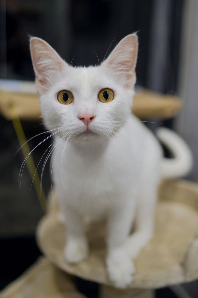 Photograph by Эльвина Саркисова