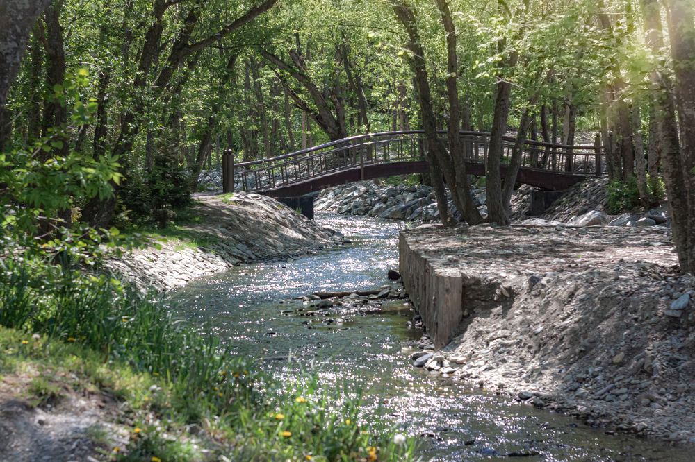 Photograph by Наталья Островцева