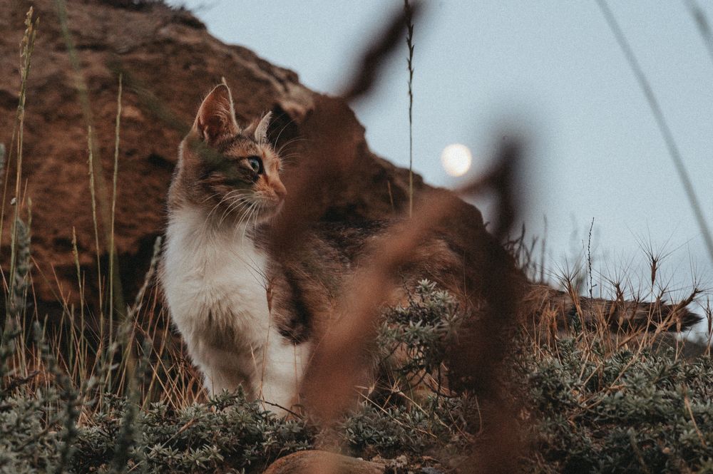 Photograph by Evgeny Vdovin