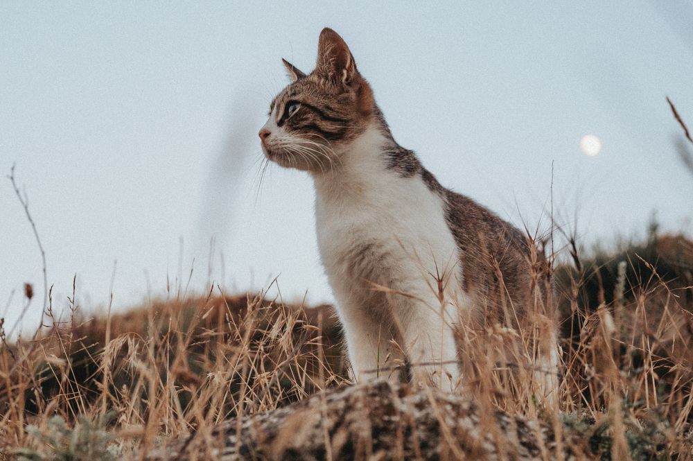 Photograph by Evgeny Vdovin