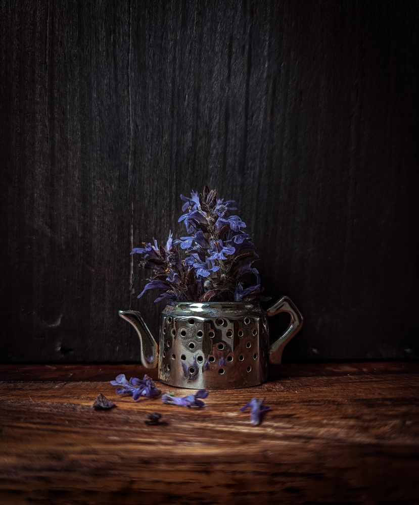 Photograph by Ксения Котова
