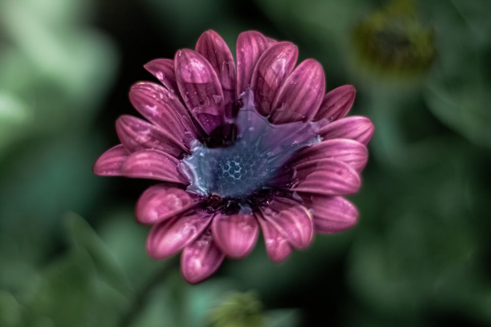 Photograph by Наталья Островцева