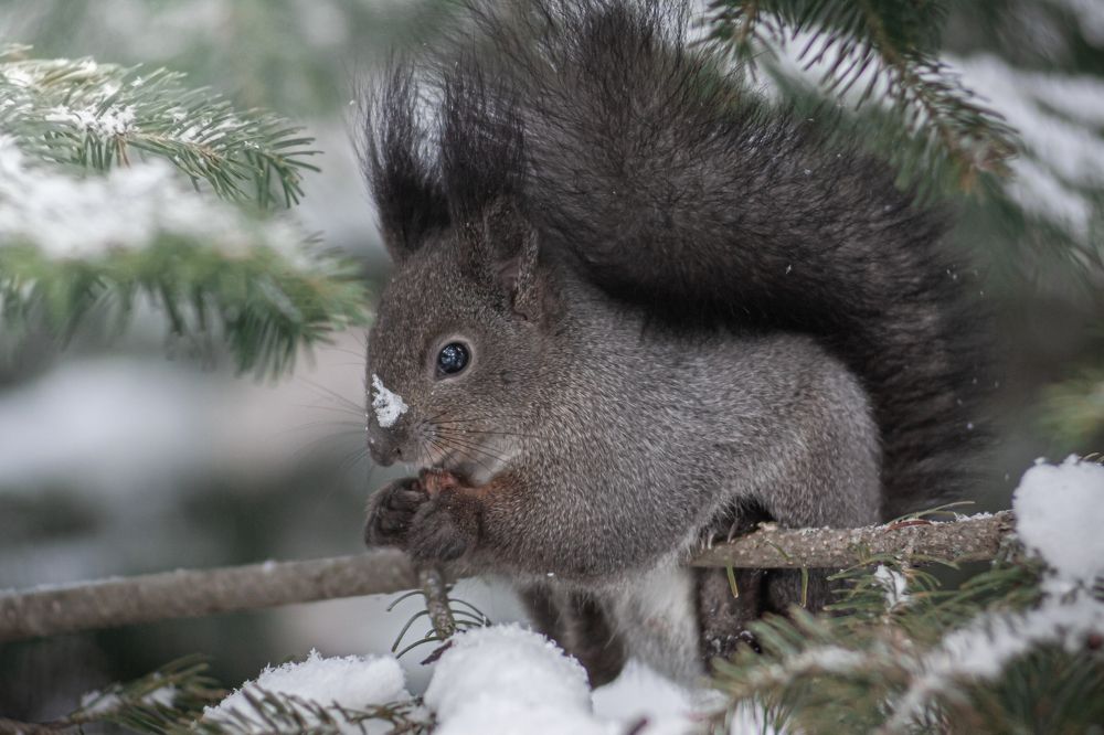 Photograph by Наталья Островцева