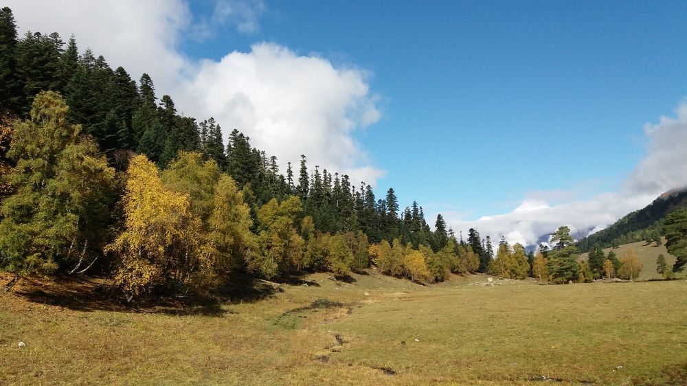 Фотография автора Геннадий Горелов