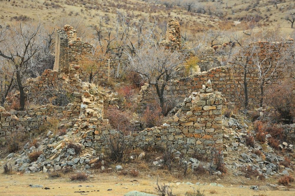 Photograph by Ирина Сушко