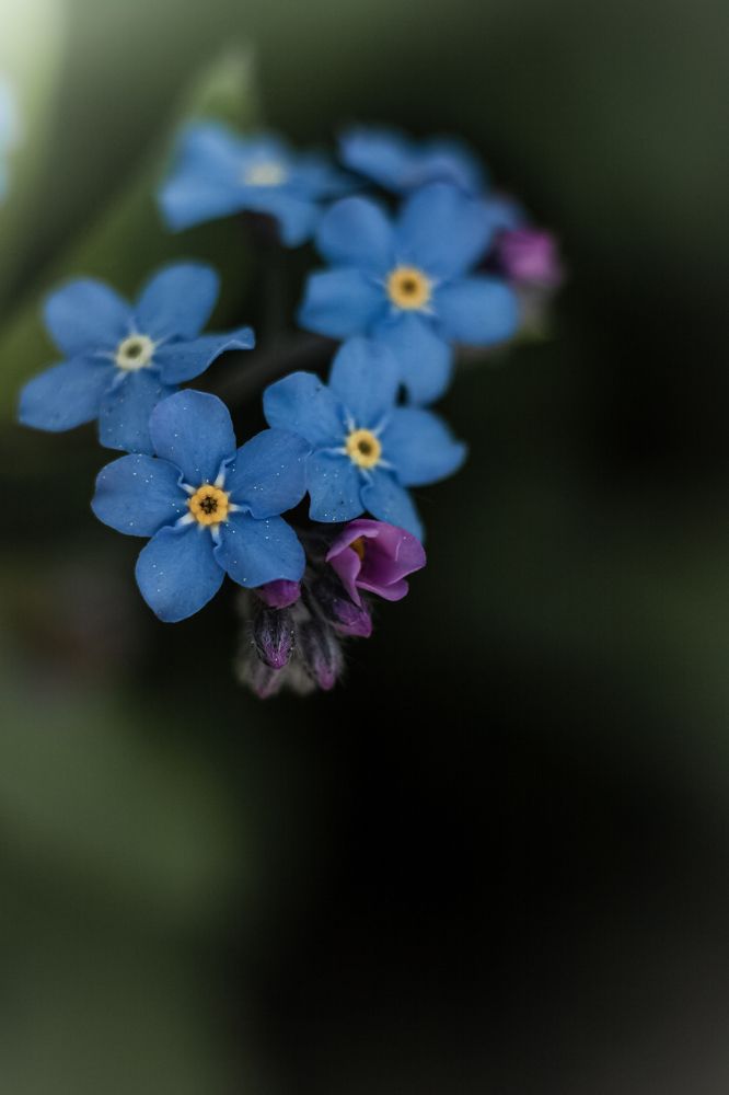 Photograph by Наталья Островцева