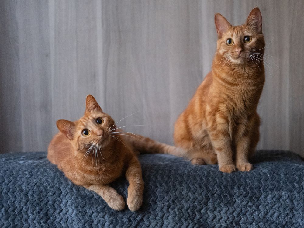 Photograph by Елена Акимова