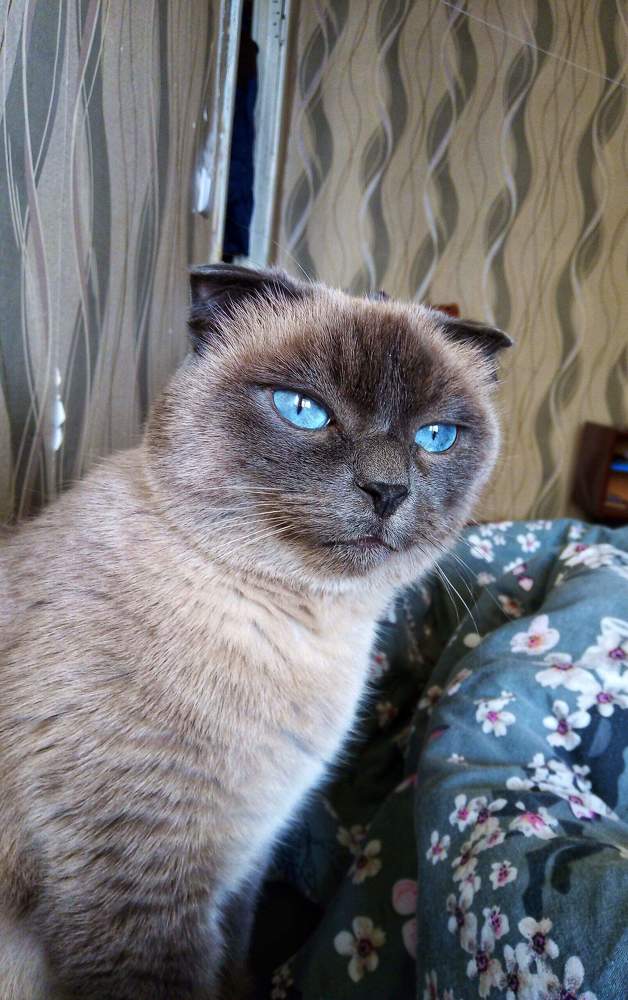 Photograph by Настя Настена