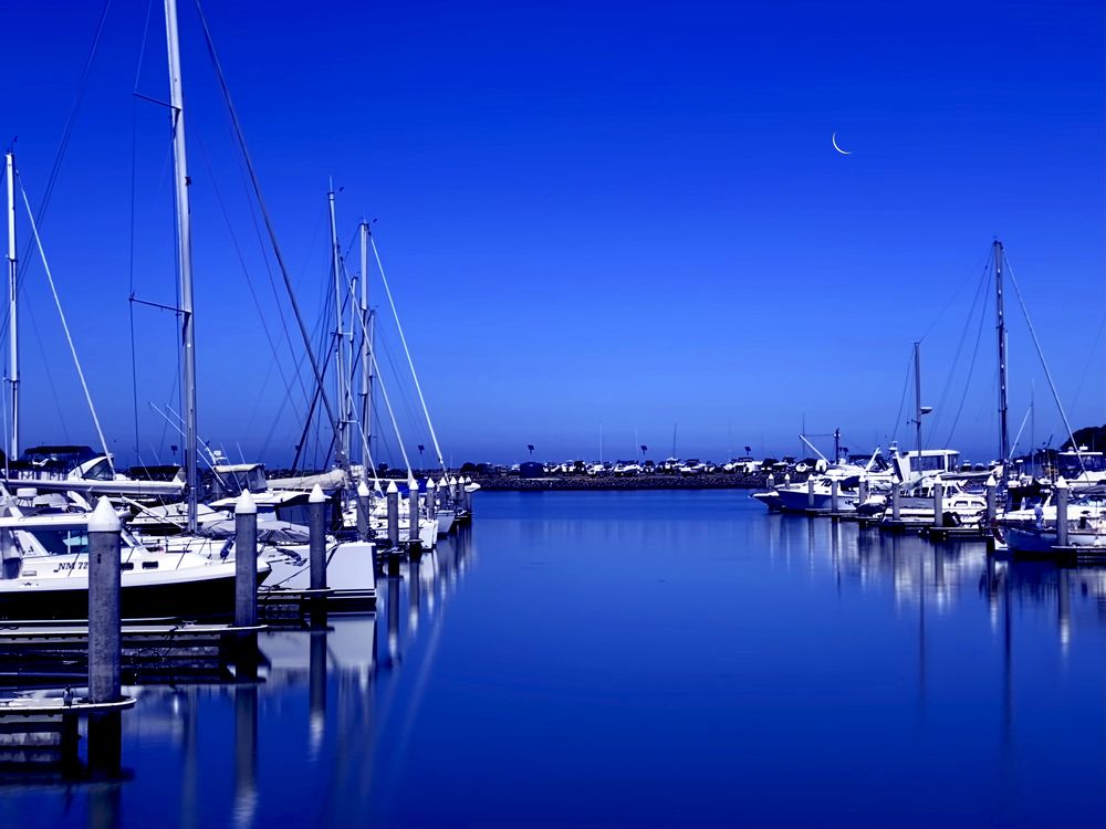 Photograph by Harshi Edirisinghe