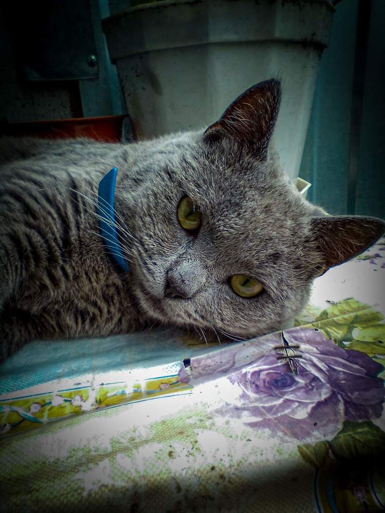 Photograph by Настя Настена