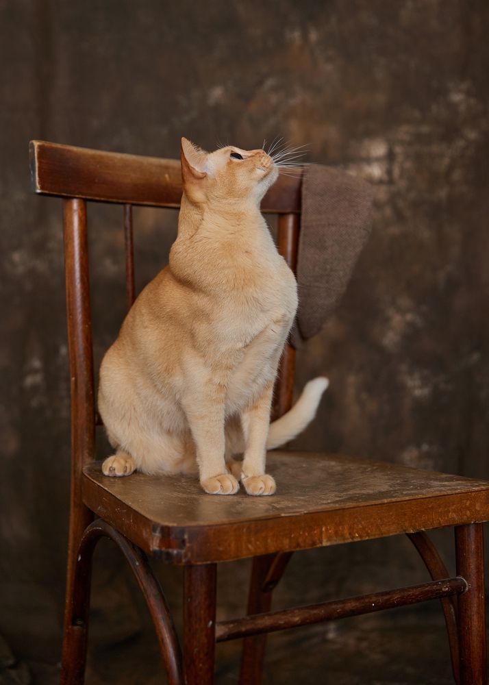 Photograph by Елена Харькова