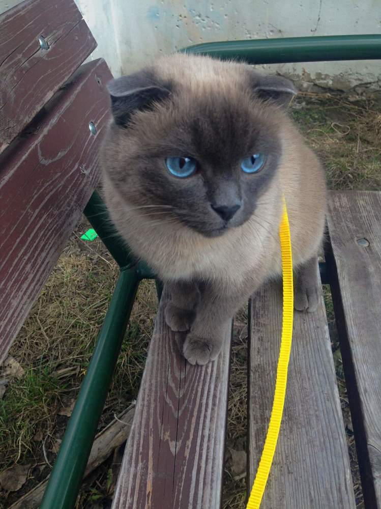 Photograph by Настя Настена