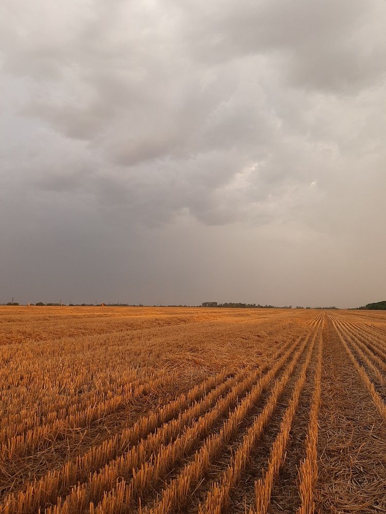 Photograph by Юлия Воскобойникова