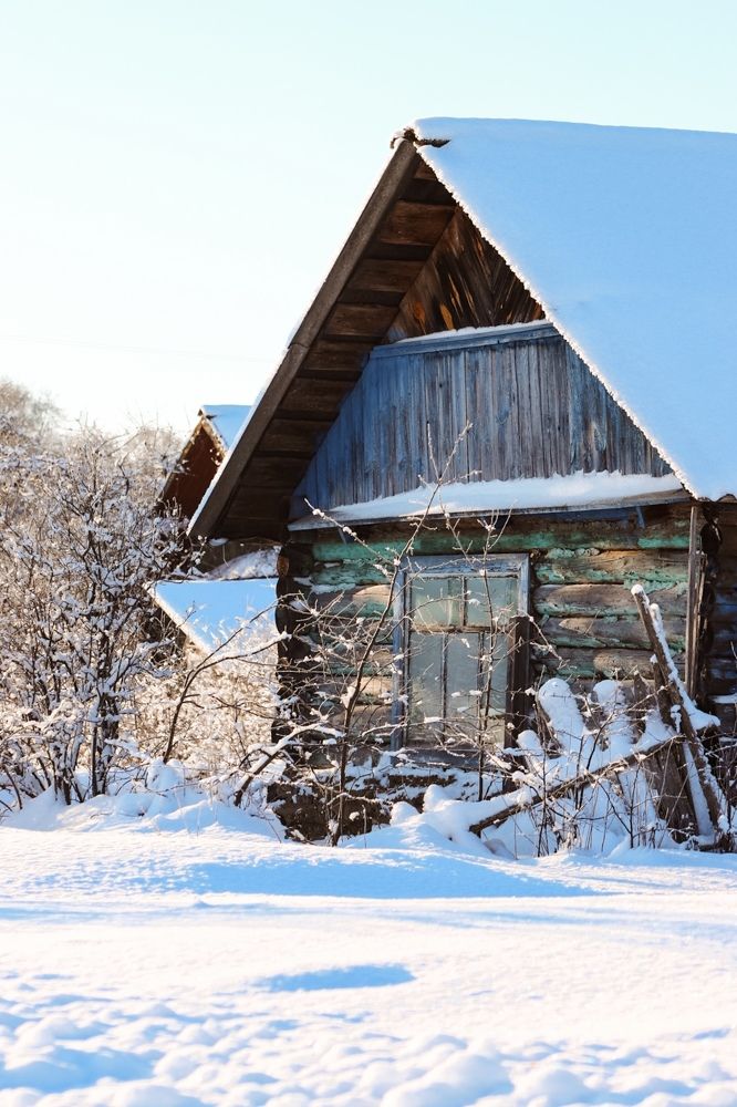 Фотография автора Олеся Шипихина