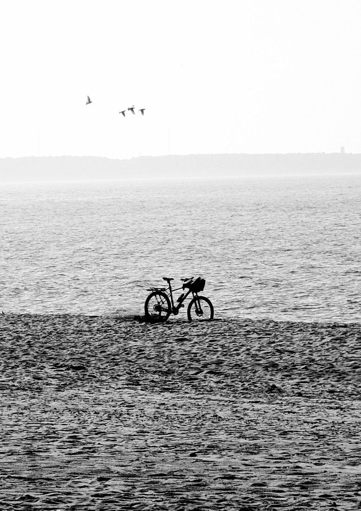 Фотография автора Ксения Шляйхер