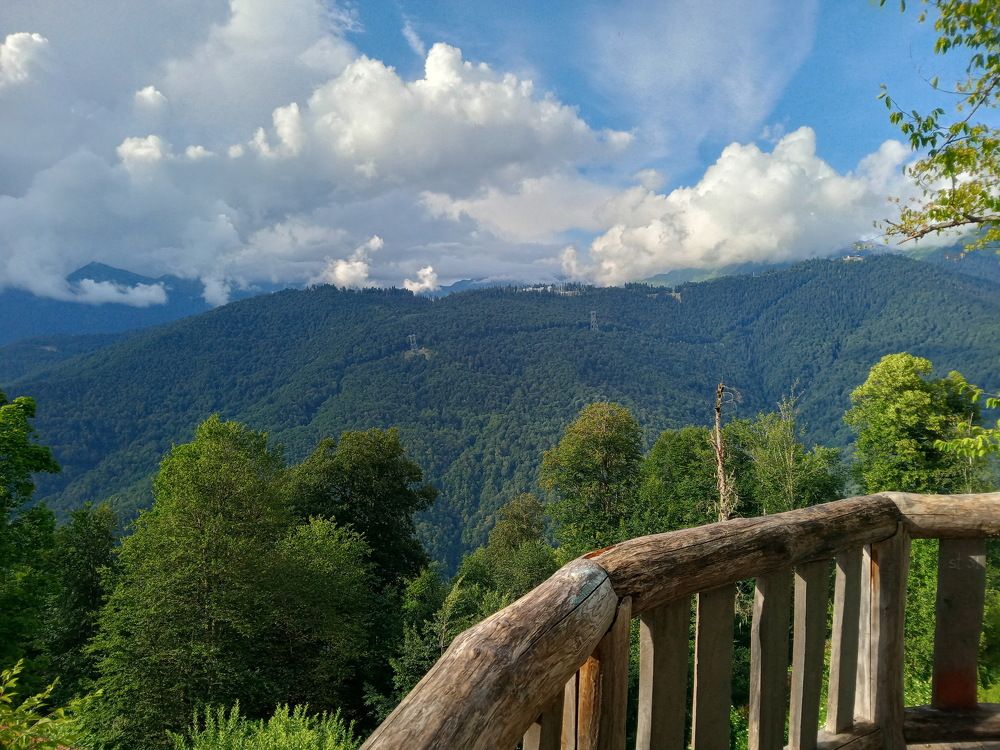 Photograph by Александр Гришин