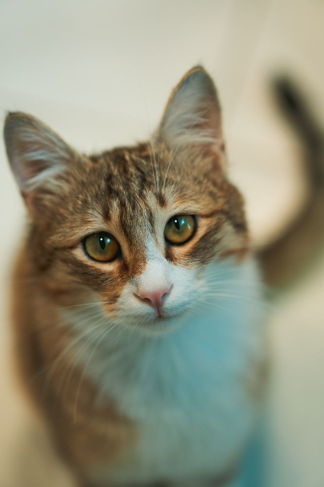 Photograph by Эльвина Саркисова