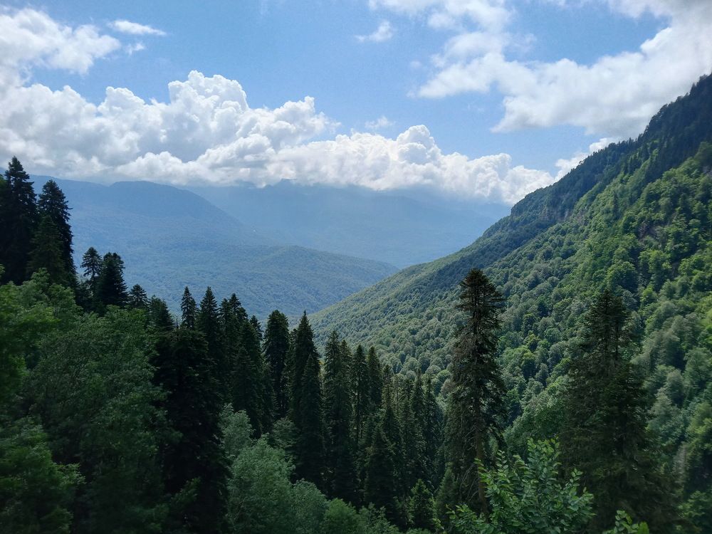 Photograph by Александр Гришин