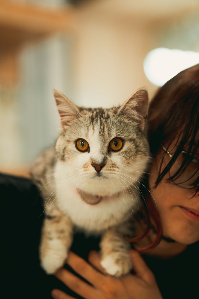 Photograph by Эльвина Саркисова