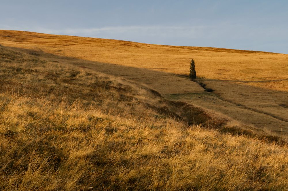 Photograph by Дарья Кончакова