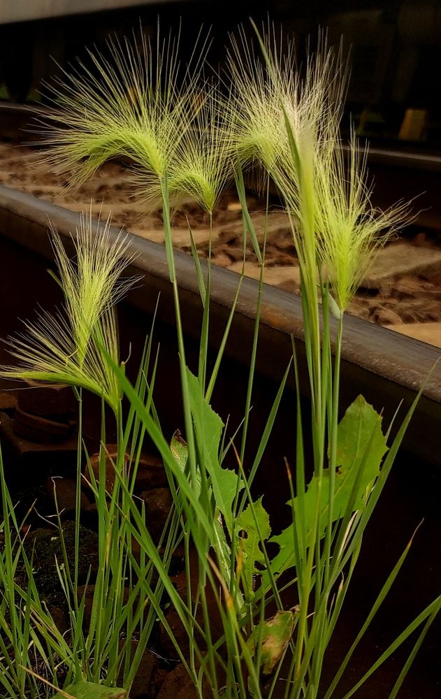 Photograph by Елена Попова