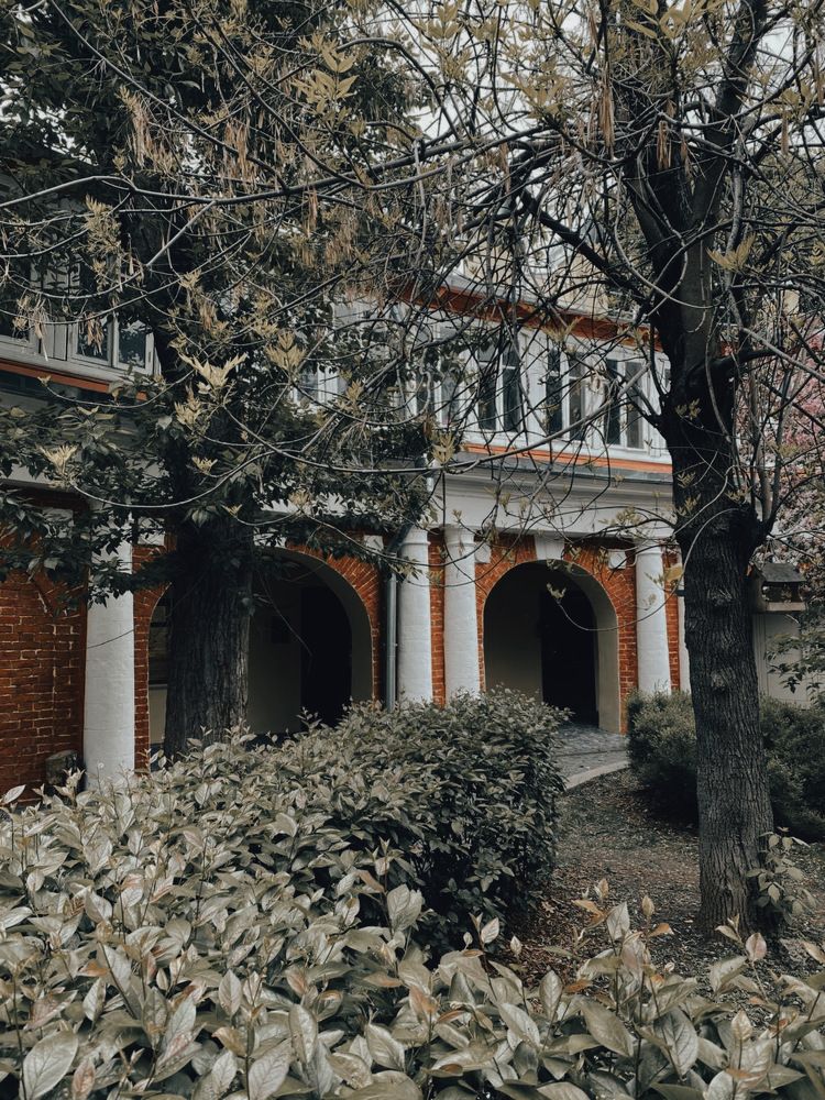 Фотография автора Владислав