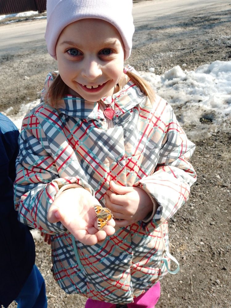 Photo #10741448