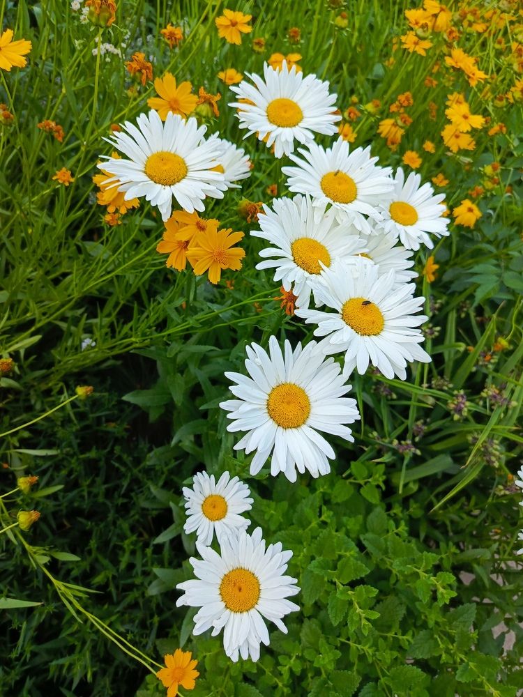 Photograph by Татьяна Пальчикова