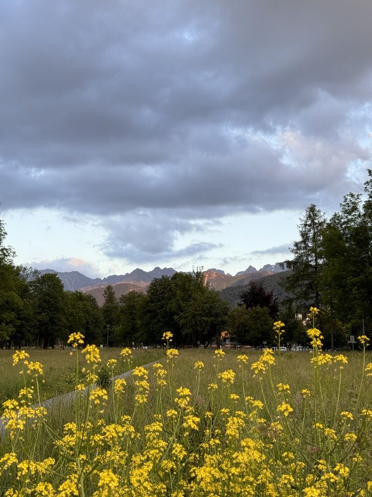 Photograph by Liudmila