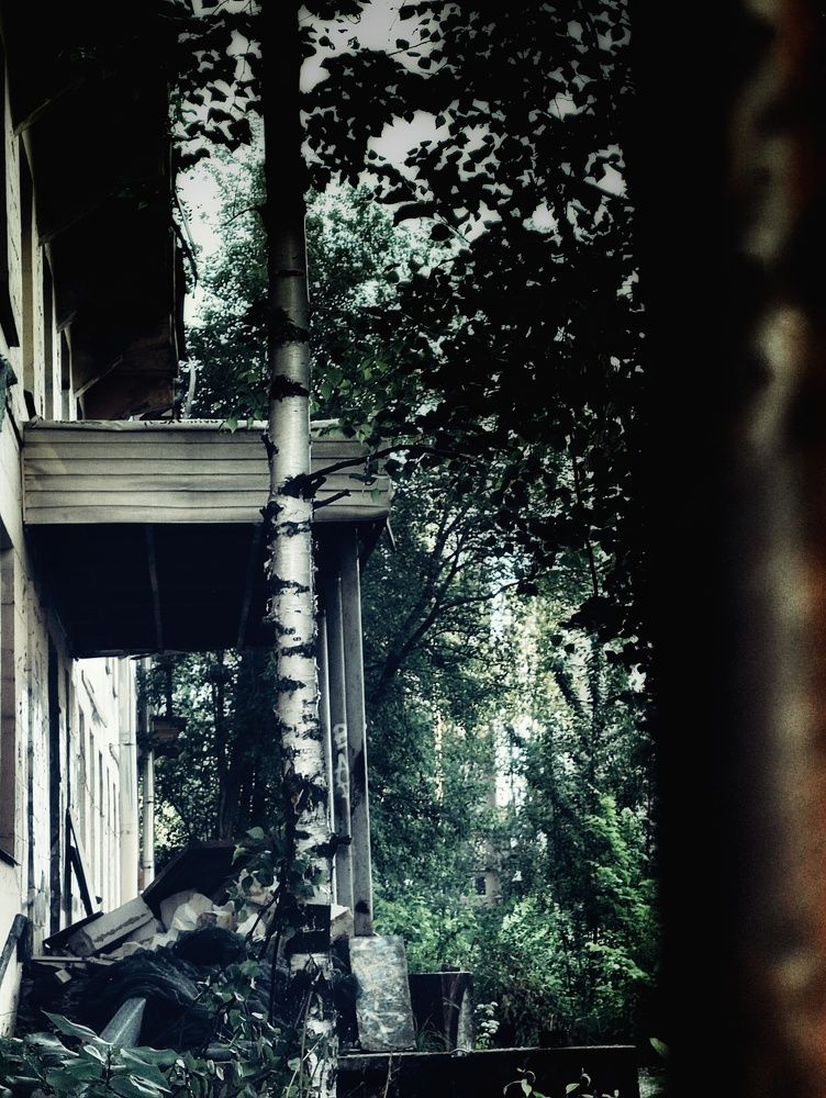 Photograph by Светлана Захарова