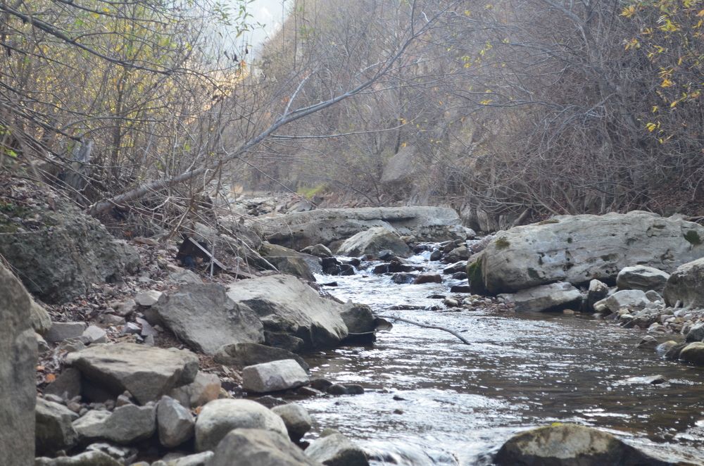 Фотография автора Геннадий Горелов