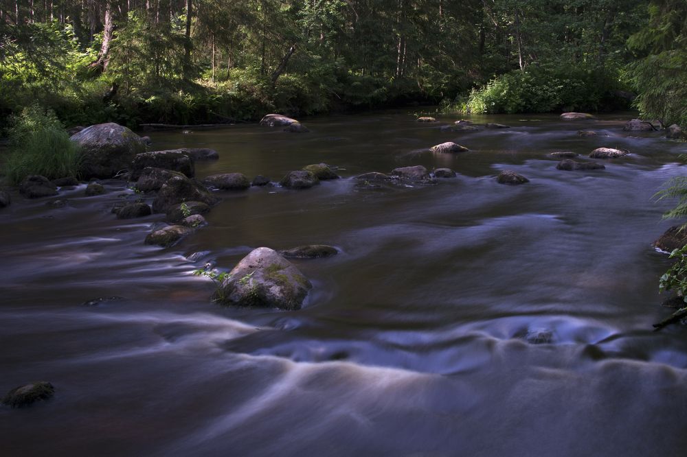 Photograph by Ричард Речицкий