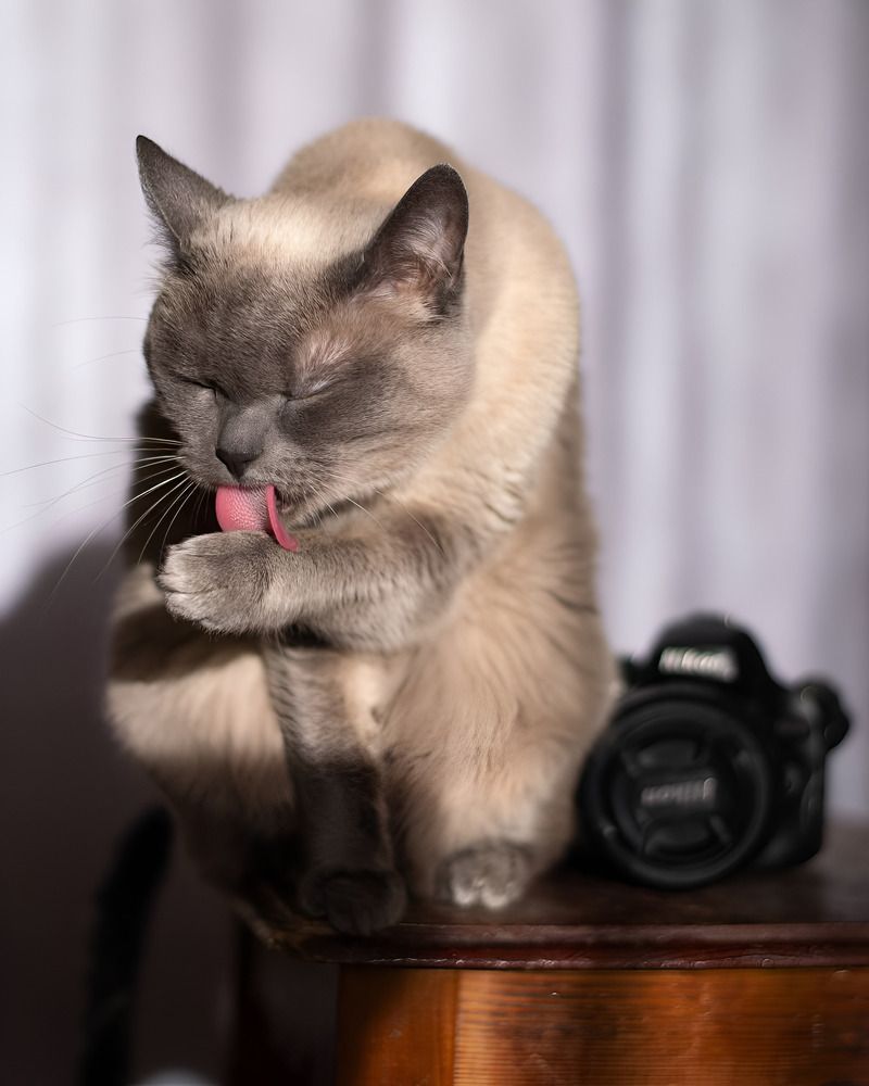 Photograph by Ирина Фуфина