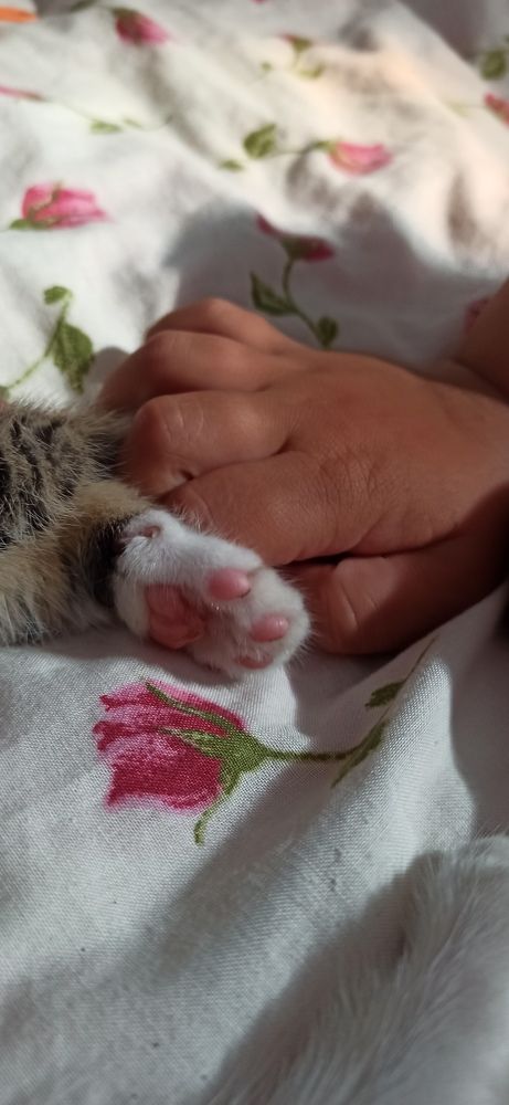 Photograph by Виорика Фоменко