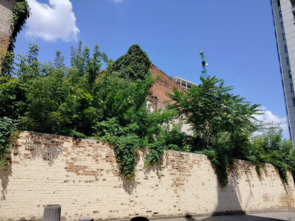 Photograph by Анна Лагун