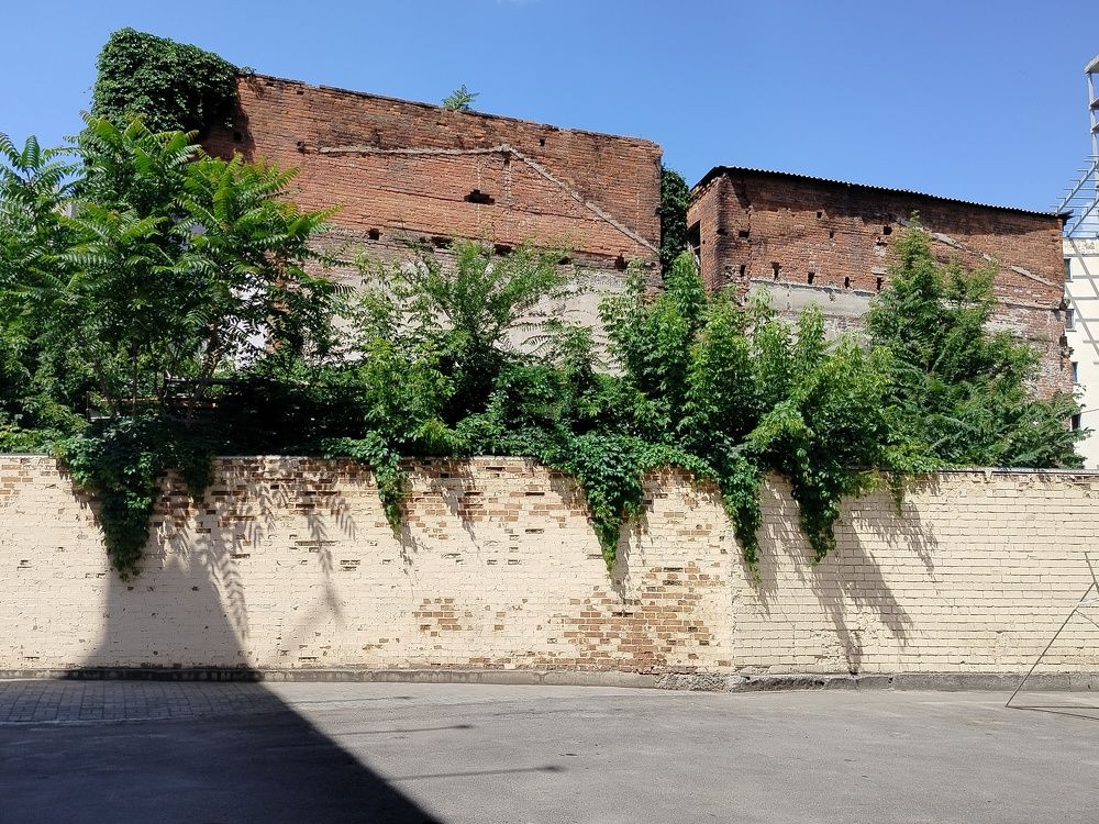 Photograph by Анна Лагун