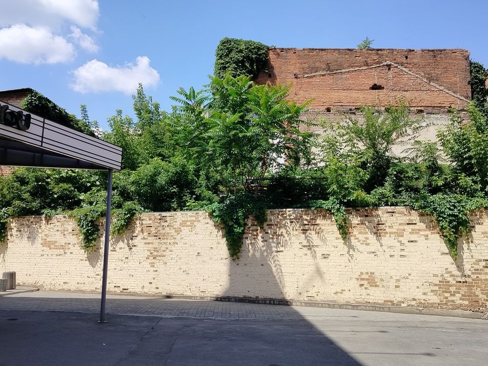 Photograph by Анна Лагун