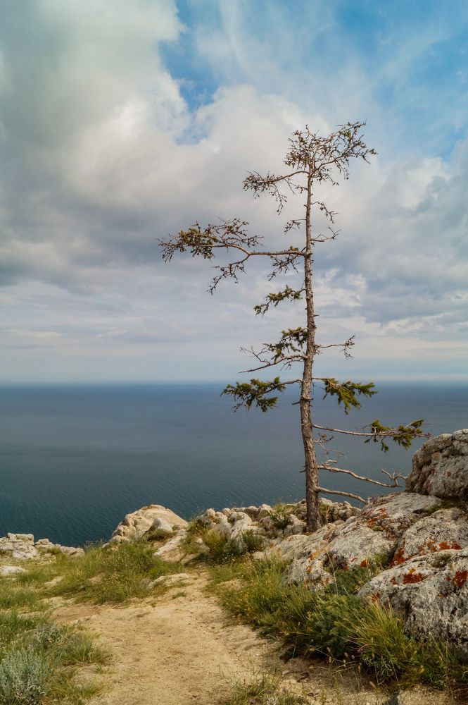 Photograph by Виктор Сёмушкин