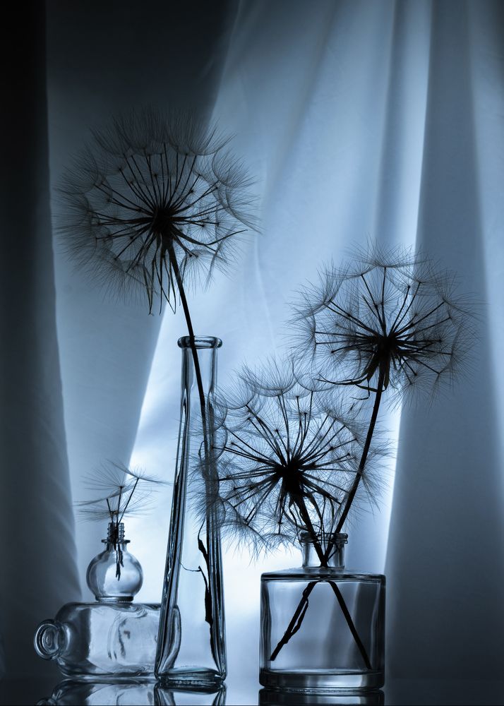 Photograph by Anna Ilieva-Alikaj