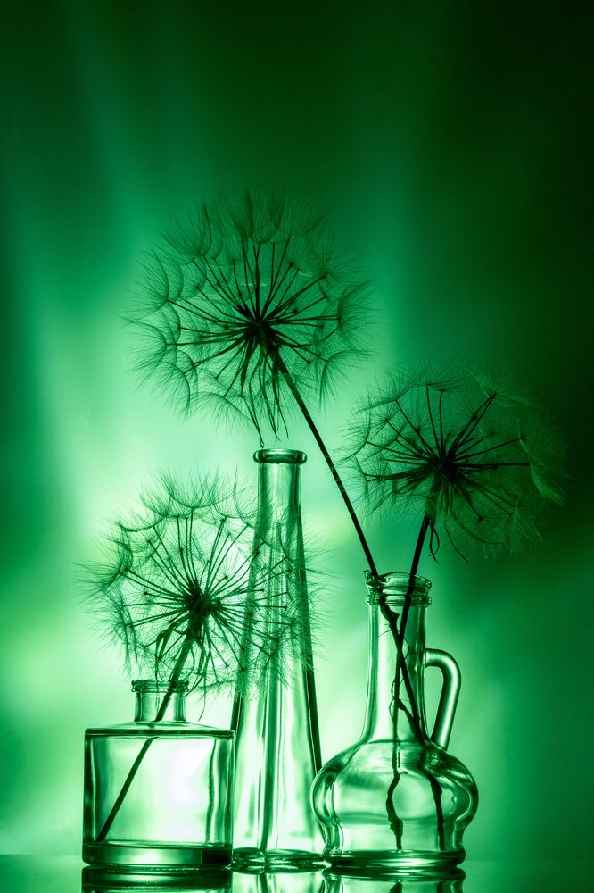 Фотография автора Anna Ilieva-Alikaj