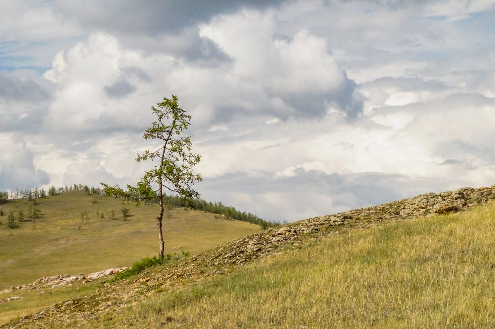 Photograph by Виктор Сёмушкин