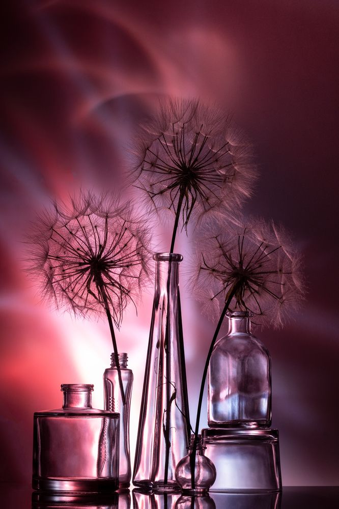 Photograph by Anna Ilieva-Alikaj